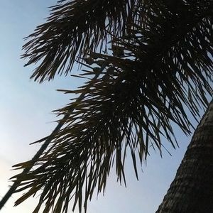 Meet your Posher, Tianna